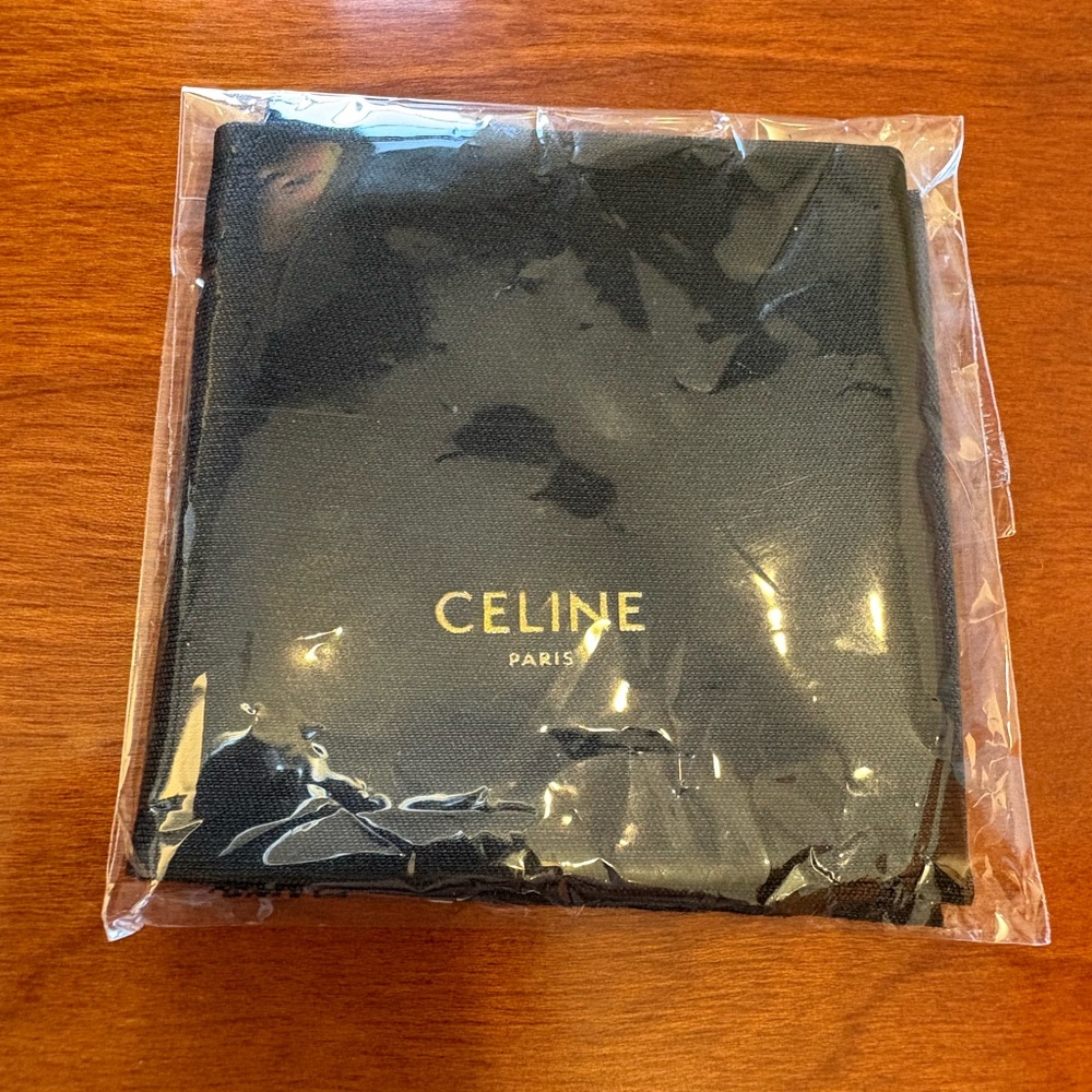 Celine Triomphe 01 Sunglasses in Acetate - Picture 14 of 15